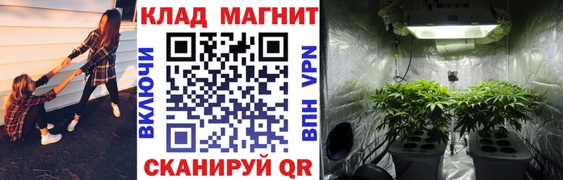 Наркошоп Кодинск ГАШ  Alpha PVP  Меф  OMG как зайти  Cocaine  Конопля 