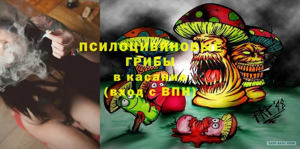 гашик Балабаново